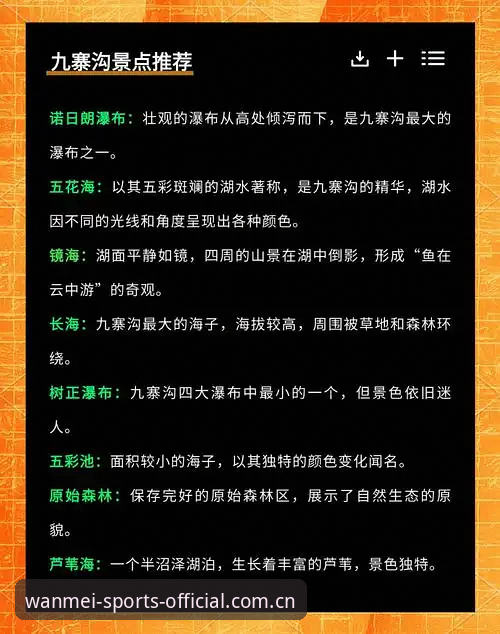 数据站下载避坑指南：老球迷才知道的5个实用技巧